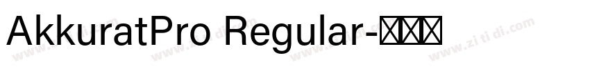 AkkuratPro Regular字体转换